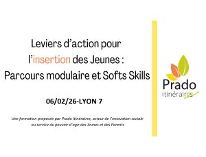 Formation Leviers dactions pour linsertion des Jeunes Le parcours modulaire et les Softs Skills Copie