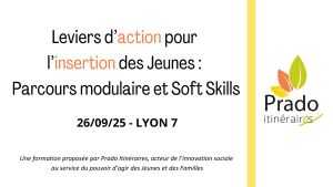 Formation Leviers dactions pour linsertion des Jeunes Le parcours modulaire et les Softs Skills2
