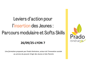 Formation Leviers dactions pour linsertion des Jeunes Le parcours modulaire et les Softs Skills2